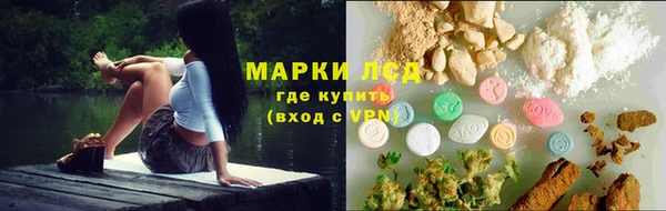 твердый Аркадак