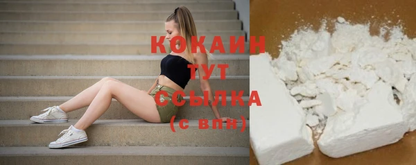 твердый Аркадак