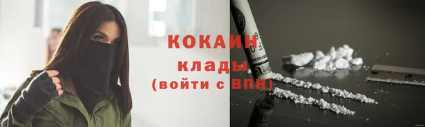 твердый Аркадак
