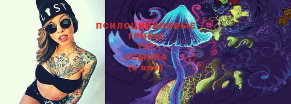 твердый Аркадак